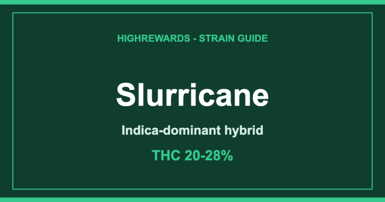 Slurricane cannabis strain guide cover by HighRewards