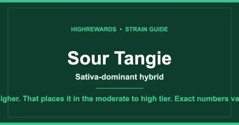 Sour Tangie cannabis strain guide cover