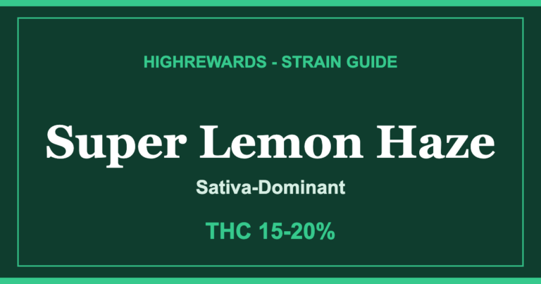 Super Lemon Haze strain guide cover from HighRewards, Sativa-Dominant, THC 15-20%