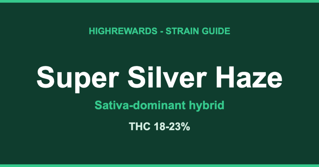 Super Silver Haze strain guide by HighRewards, sativa-dominant hybrid, THC 18-23%