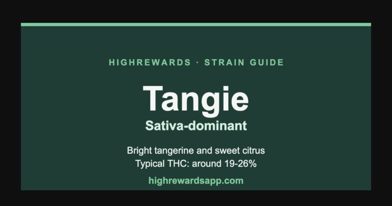 Tangie cannabis strain guide cover — Sativa, bright tangerine and sweet citrus
