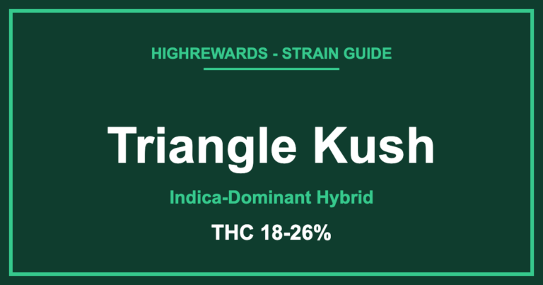 Triangle Kush strain branded cover, Indica-Dominant Hybrid, THC 18-26%