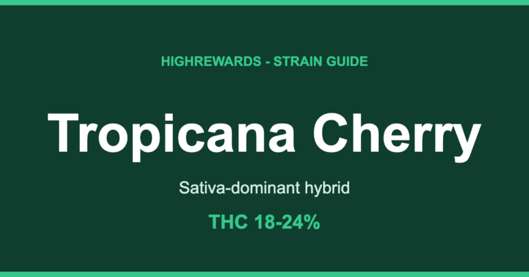 Tropicana Cherry cannabis strain guide cover