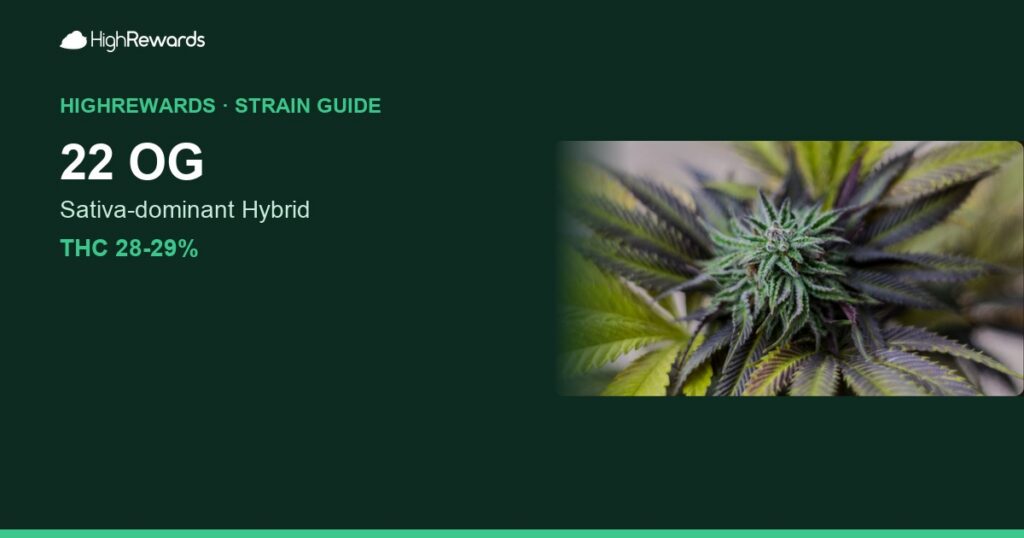 22 OG cannabis strain cover image