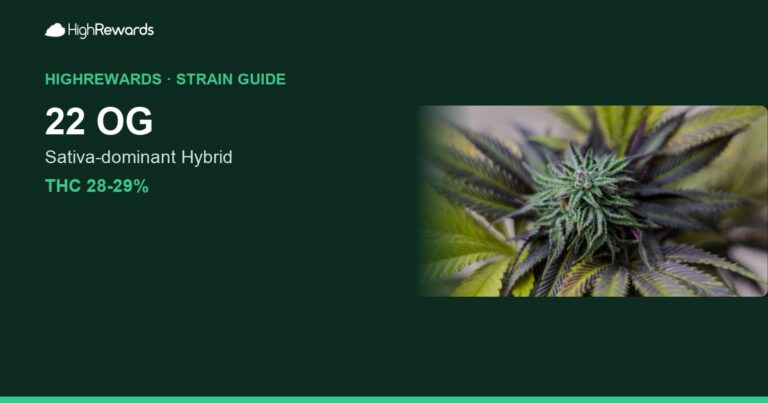 22 OG cannabis strain cover image