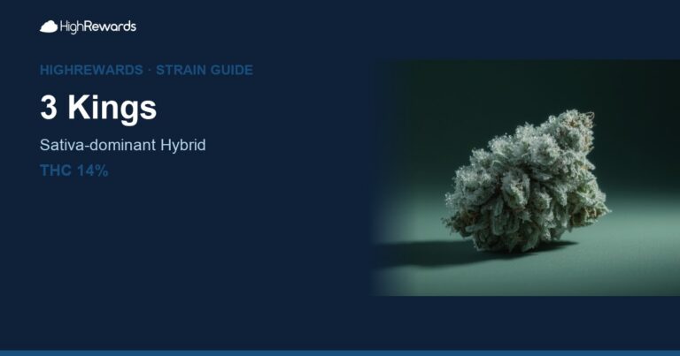3 Kings cannabis strain cover image