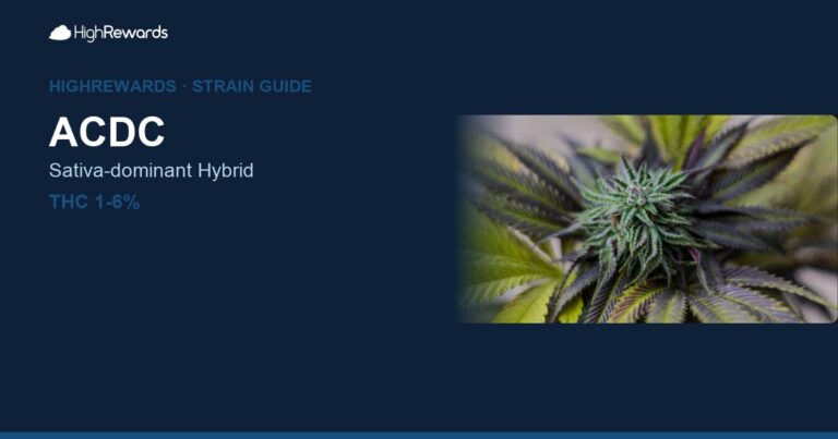 ACDC cannabis strain cover image