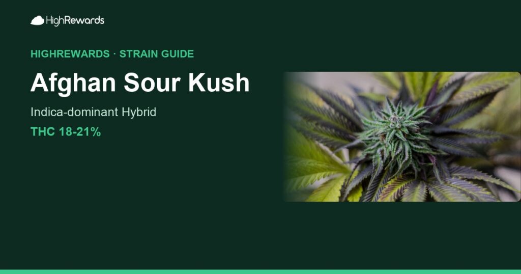 Afghan Sour Kush cannabis strain cover image