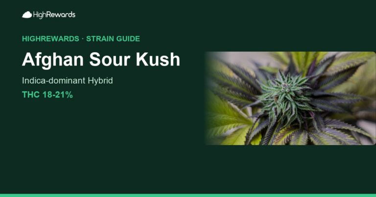 Afghan Sour Kush cannabis strain cover image