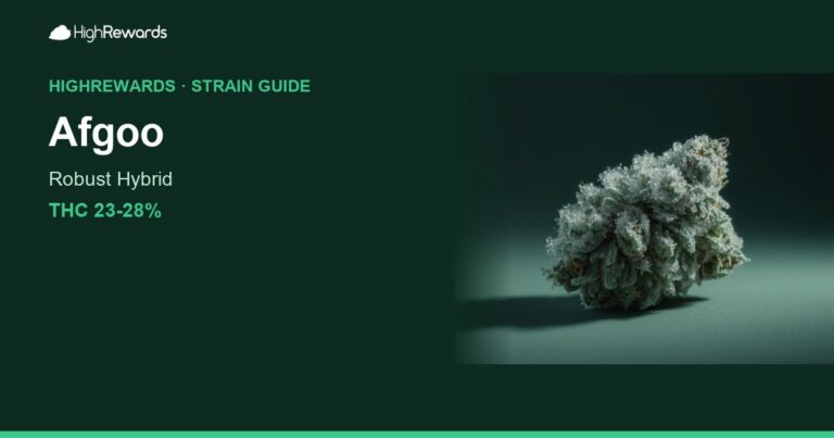 Afgoo cannabis strain cover image