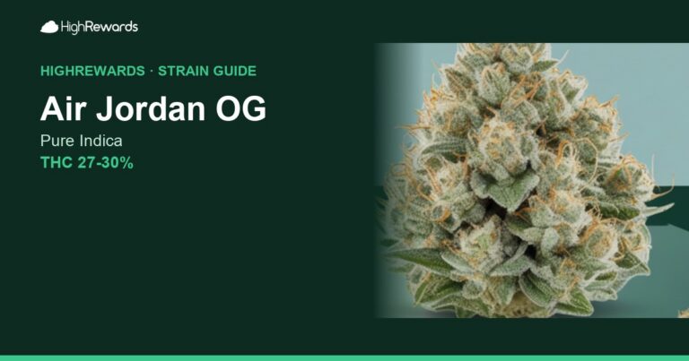 Air Jordan OG cannabis strain cover image