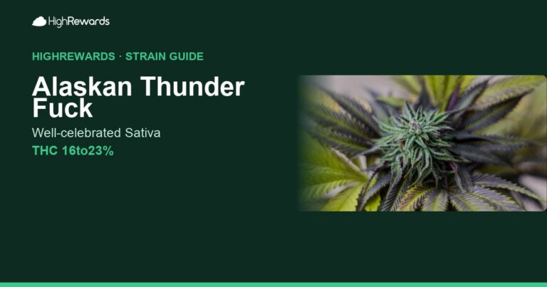 Alaskan Thunder Fuck cannabis strain cover image
