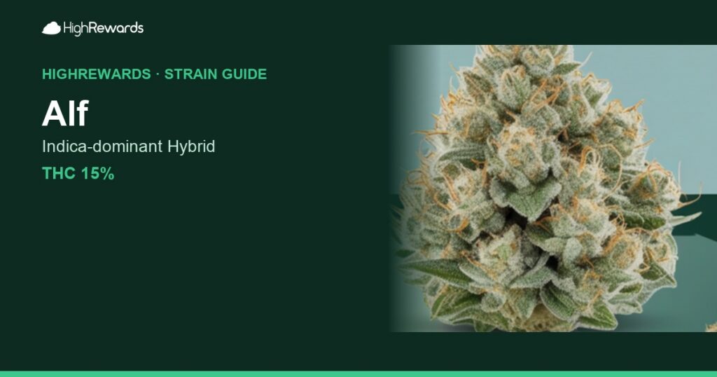 Alf cannabis strain cover image