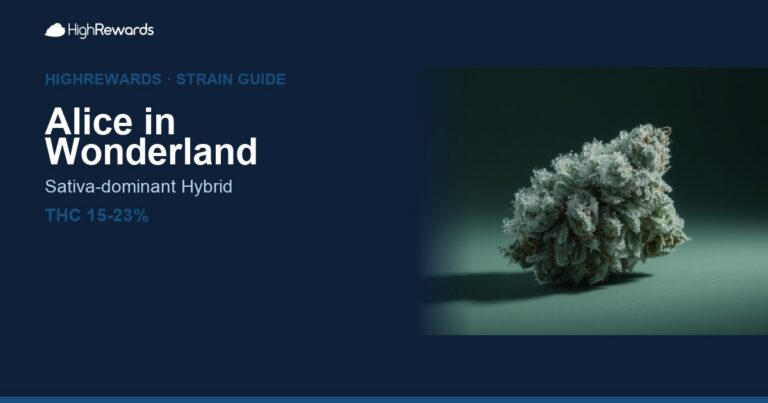 Alice in Wonderland cannabis strain cover image