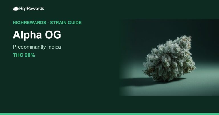 Alpha OG cannabis strain cover image