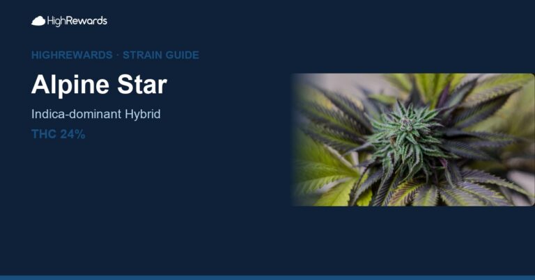 Alpine Star cannabis strain cover image