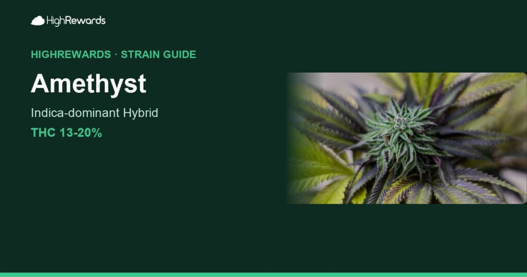 Amethyst cannabis strain cover image