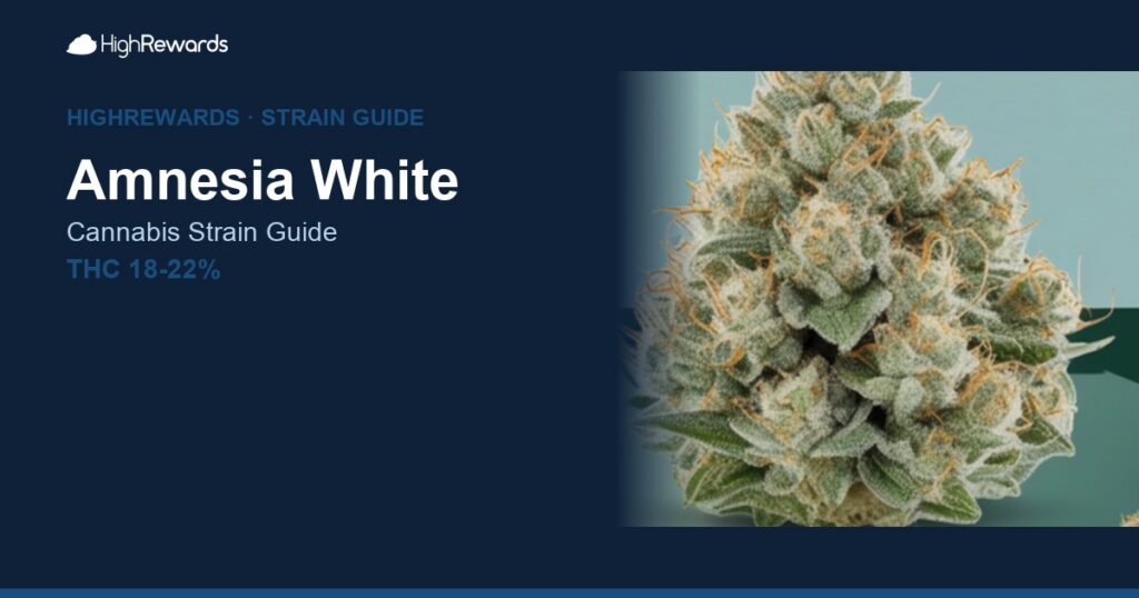 Amnesia White cannabis strain cover image