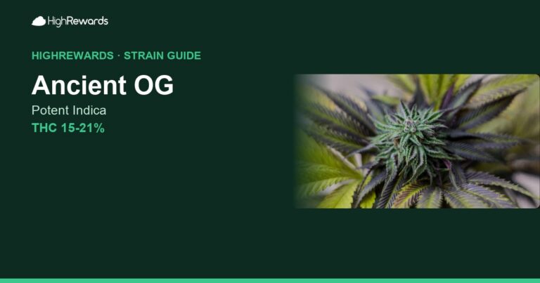 Ancient OG cannabis strain cover image