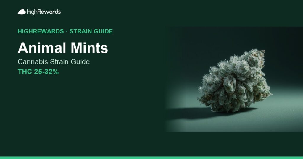 Animal Mints cannabis strain cover image