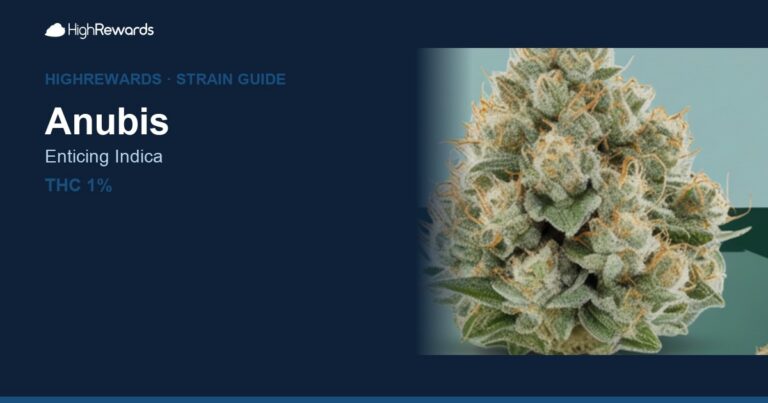Anubis cannabis strain cover image