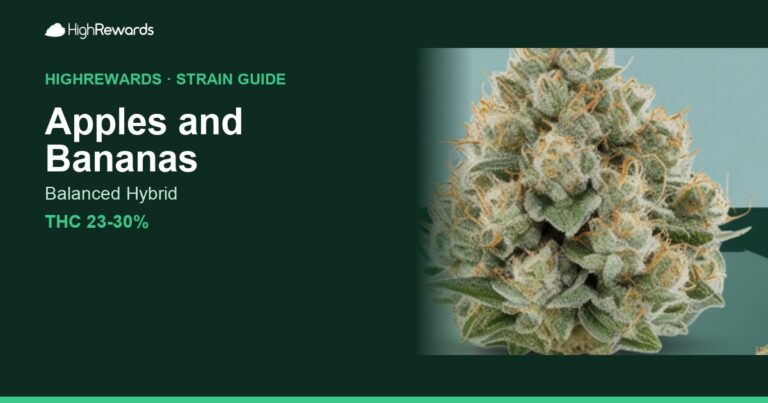 Apples and Bananas cannabis strain cover image