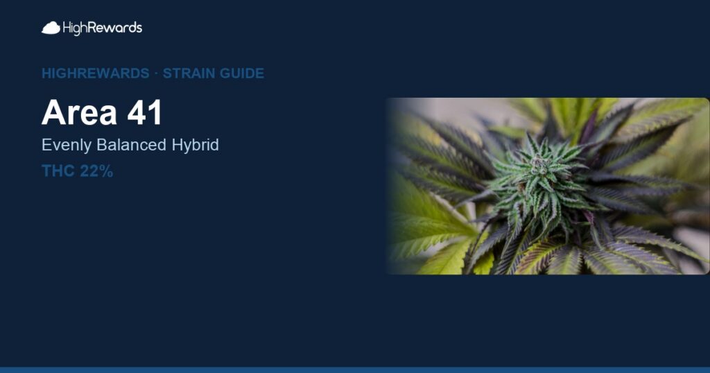 Area 41 cannabis strain cover image