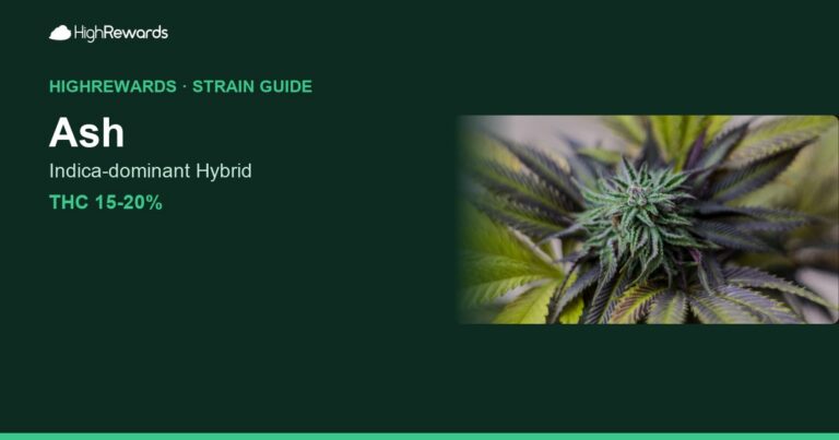 Ash cannabis strain cover image