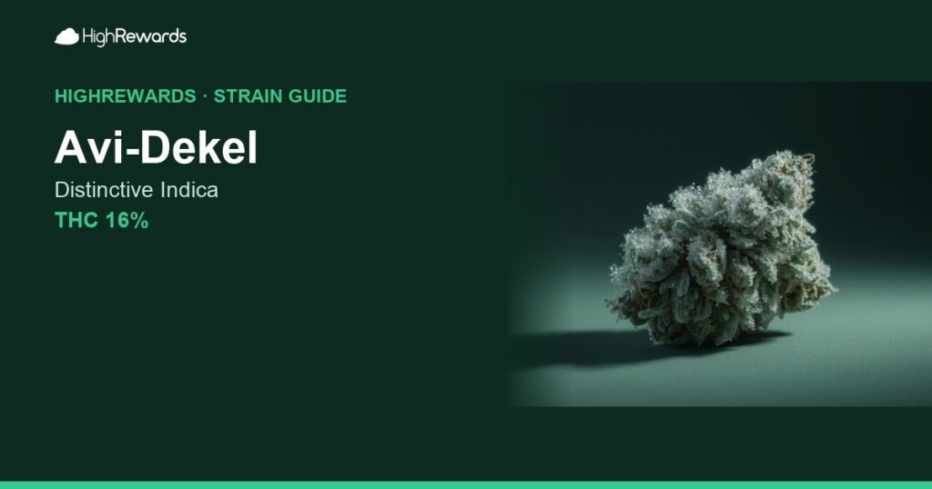 Avi-Dekel cannabis strain cover image