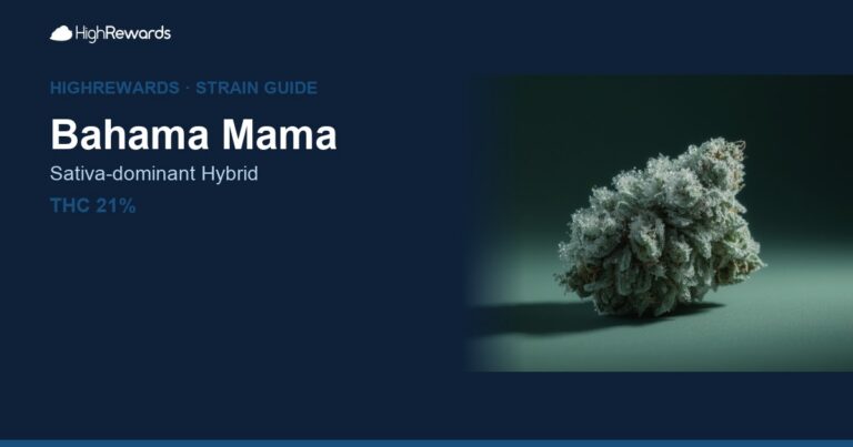 Bahama Mama cannabis strain cover image