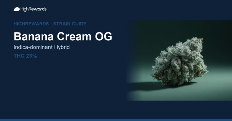 Banana Cream OG cannabis strain cover image