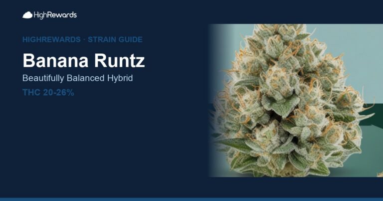 Banana Runtz cannabis strain cover image