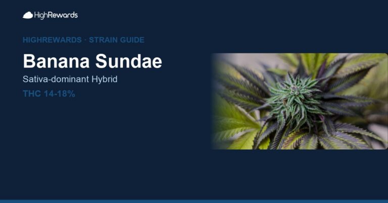 Banana Sundae cannabis strain cover image