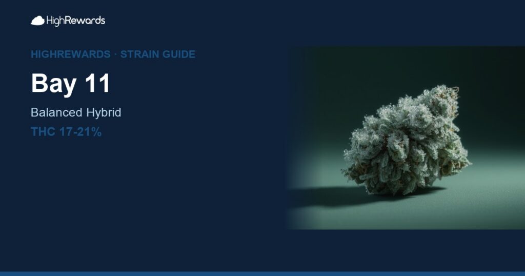 Bay 11 cannabis strain cover image