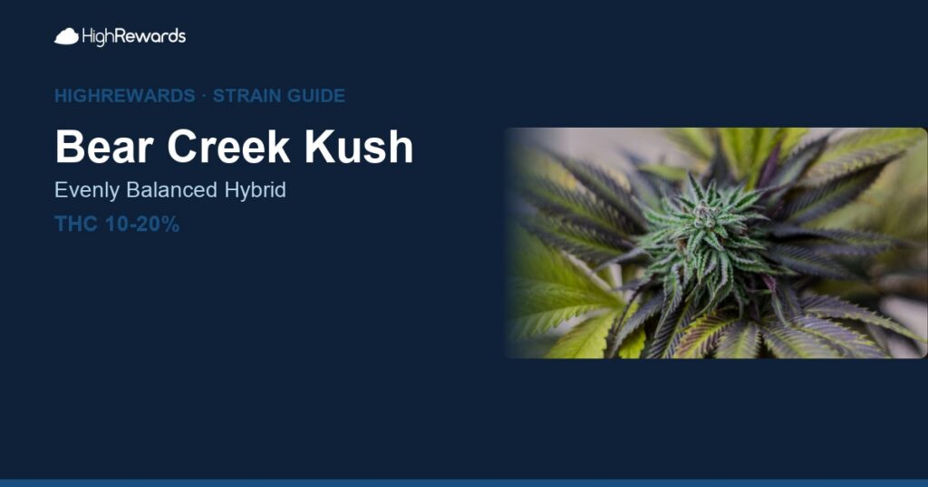 Bear Creek Kush cannabis strain cover image
