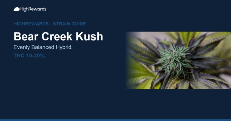 Bear Creek Kush cannabis strain cover image