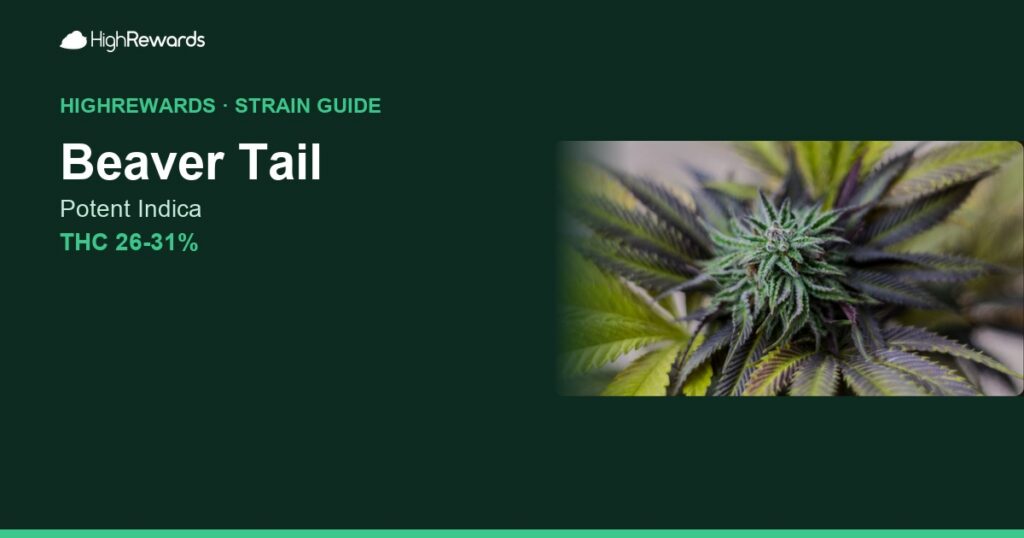 Beaver Tail cannabis strain cover image