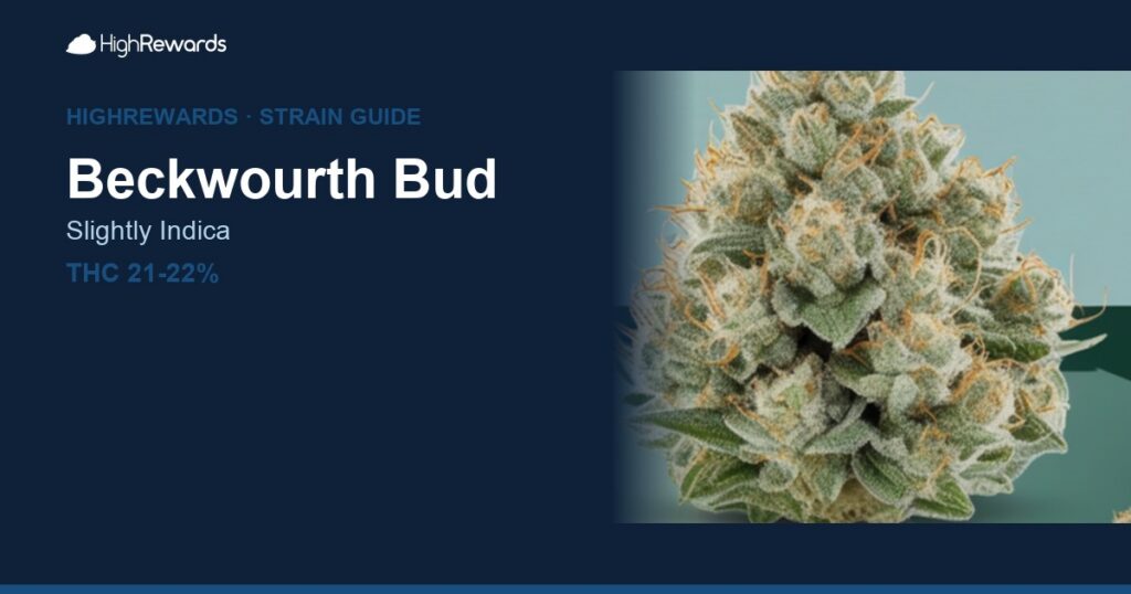 Beckwourth Bud cannabis strain cover image