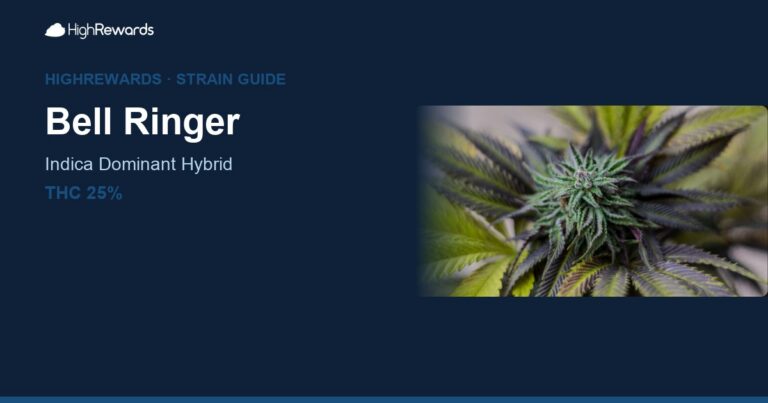 Bell Ringer cannabis strain cover image