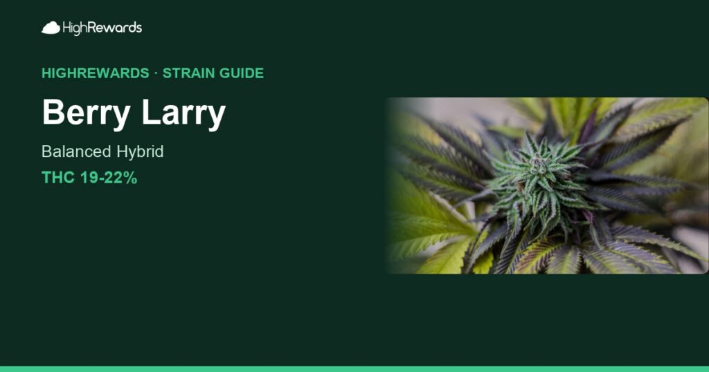Berry Larry cannabis strain cover image