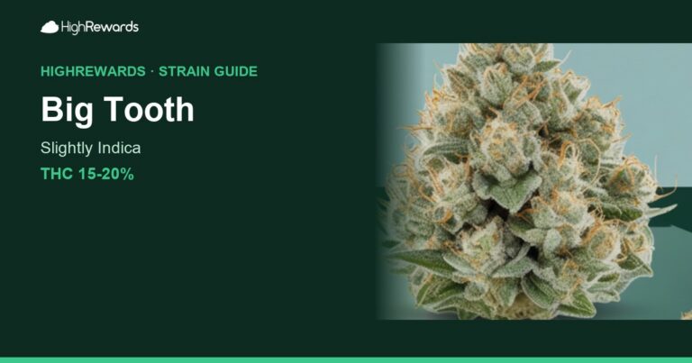 Big Tooth cannabis strain cover image