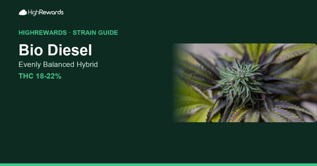 Bio Diesel cannabis strain cover image