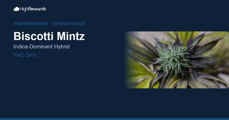 biscotti mintz strain cover