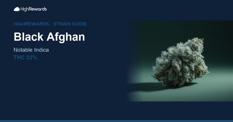 Black Afghan cannabis strain cover image