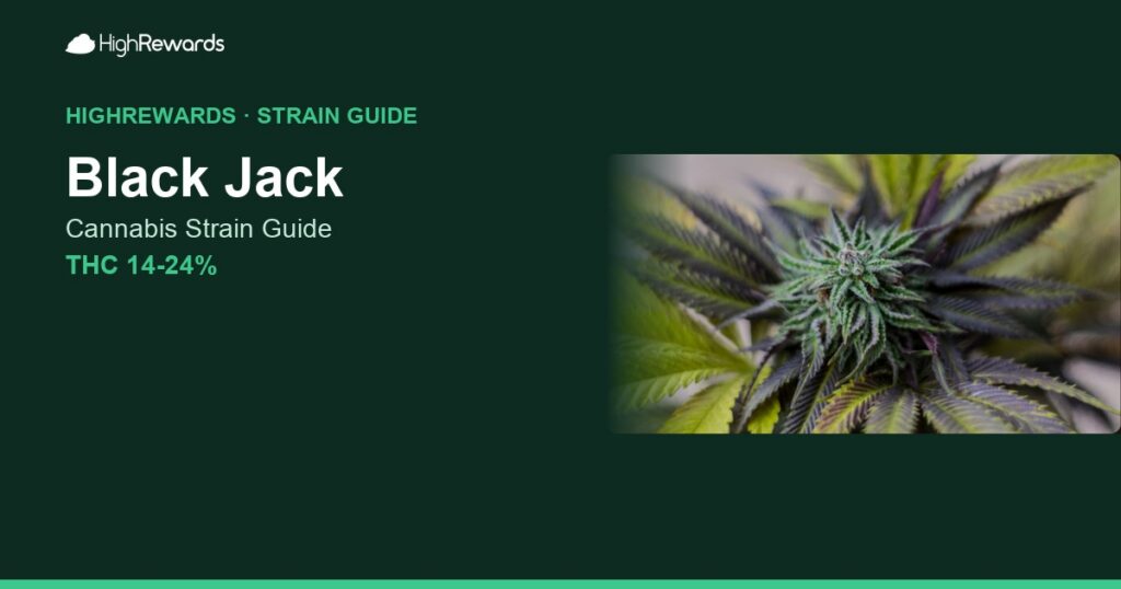 Black Jack cannabis strain cover image
