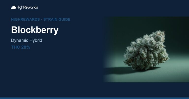 Blockberry cannabis strain cover image