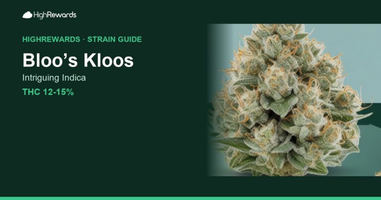 Bloo’s Kloos cannabis strain cover image