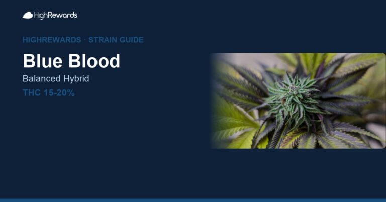 Blue Blood cannabis strain cover image