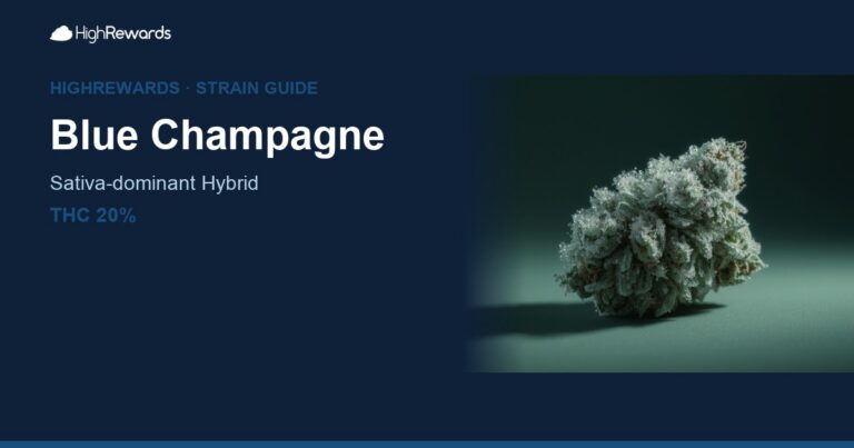 Blue Champagne cannabis strain cover image