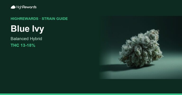 Blue Ivy cannabis strain cover image